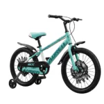 Bicycle 20 inch Imported