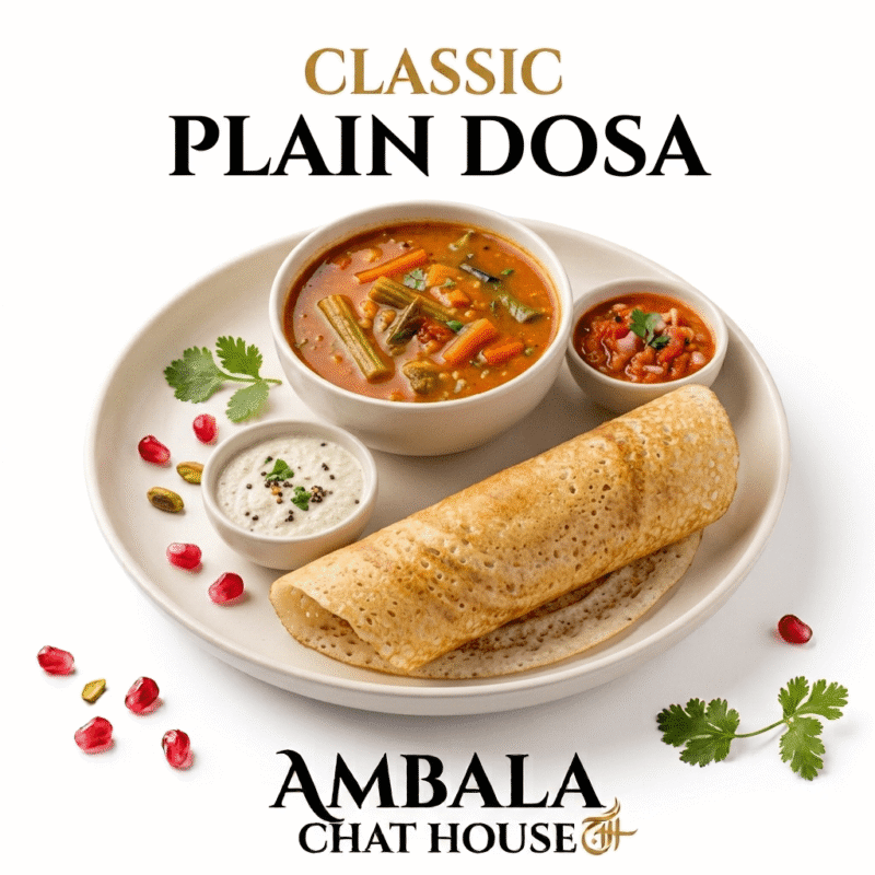 PLAIN DOSA - Image 2