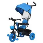 Baby Tricycle with Canopy