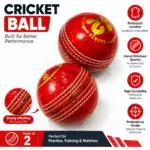 Cricket Ball