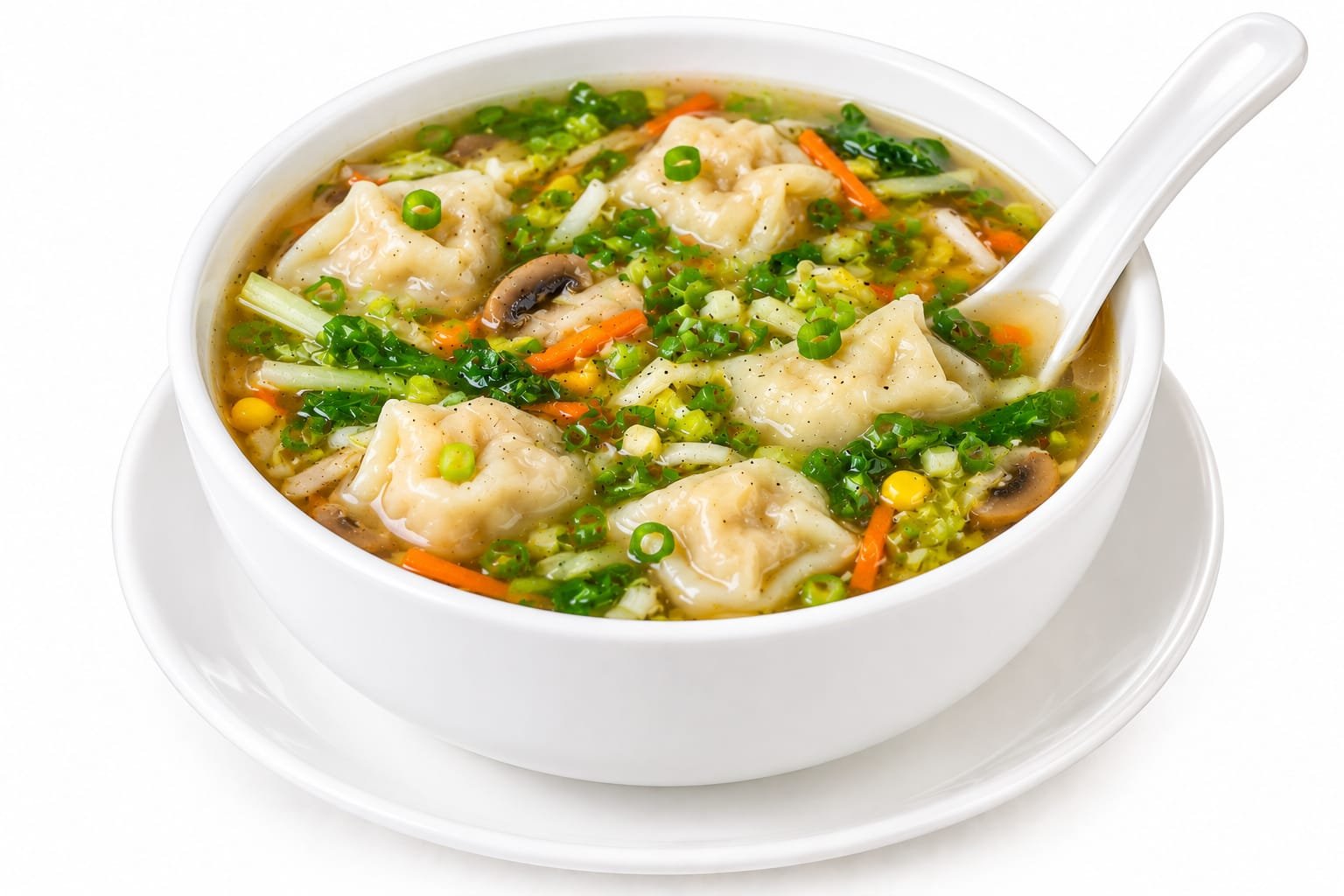 IMG-20261007-WA0059 WONTON SPECIAL SOUP VEG - Image 1